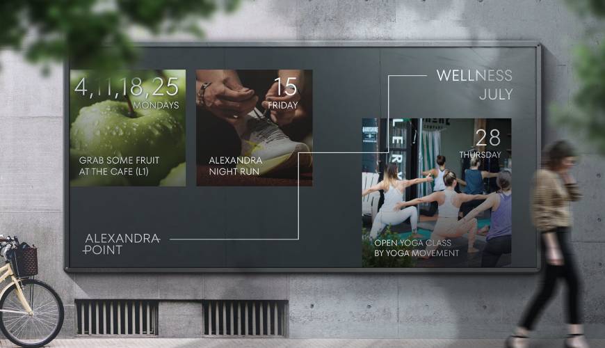 宜丰县画册设计公司如何进行品牌审核