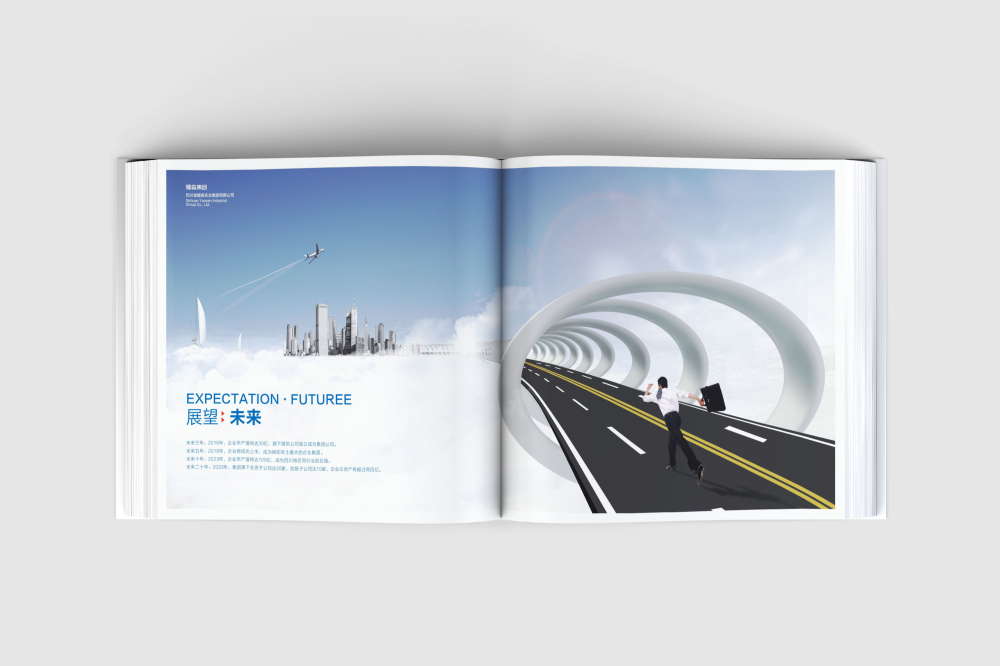 宜丰县画册设计